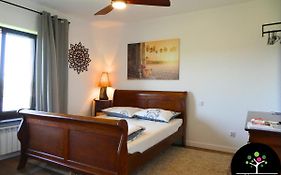 Seliga Sport Apartments & Spa